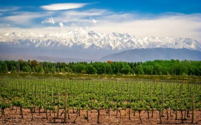 2019 Trips for Wine Lovers